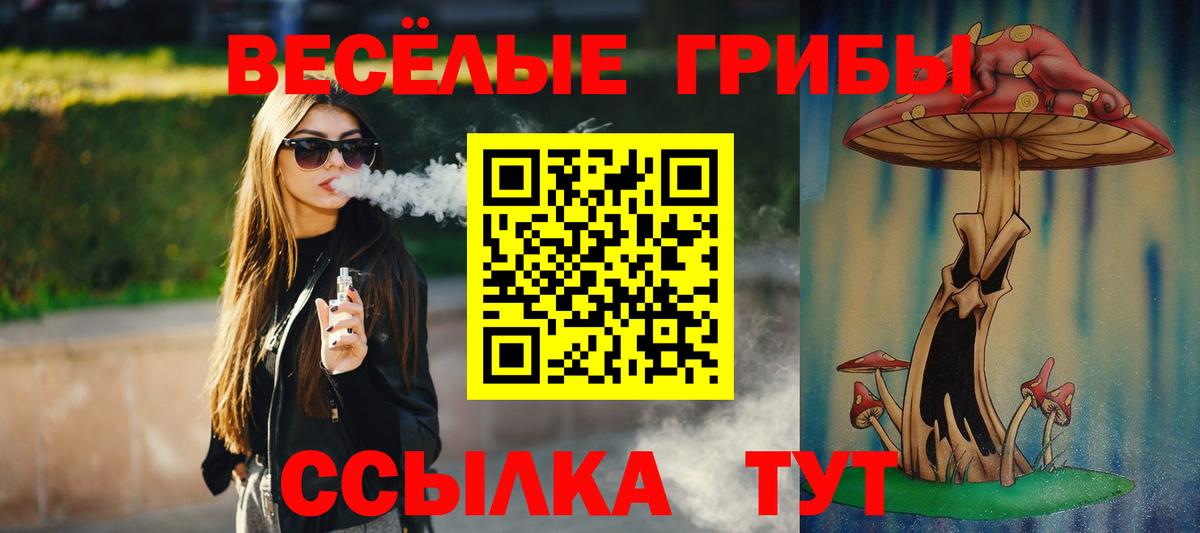где продают   Вход с VPN  Нальчик  Псилоцибиновые грибы мухоморы 